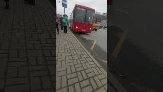 Автобус в Казани. Гос. С401ВН116 по маршруту 63 в Казани #bus