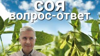 СОЯ: вопрос-ответ.