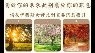 ⭐無牌卡: 關於你的未來，此刻屬於你的重要訊息指引--埃及伊西斯女神訊息指引--傳訊占卜--(無時間限制)我支持大罷免，大罷免大成功