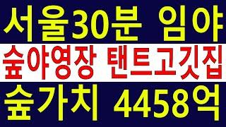 저수지뷰~ 수도권임야 수~만평 계획관리포함 차진입가 숲야영장캠핑교회+탠트고기집 나무가치4458억 탄소권4천만원 땅과함께(새희망을)경매임야,공매임야,6차산업