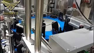 Vertical Fully Automatic Wine Bottle Carton Packing Machine