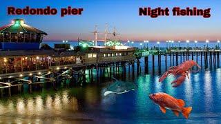 Redondo Beach pier night fishing | Stingrays lobsters (giants)