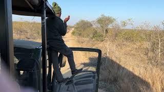 Ranger that calls animal at the Kruger National Park