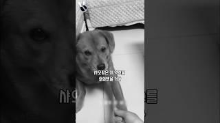 샤오팡은 손이 너무 가벼워