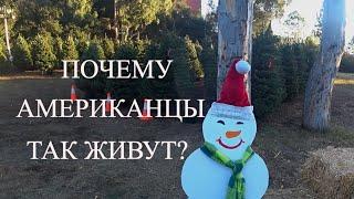 ПОЧЕМУ АМЕРИКАНЦЫ ТАК ЖИВУТ?