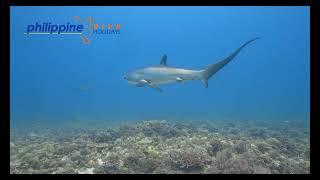 Kemud Shoal 15 May '23