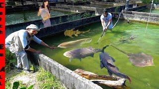 I Gave $2,000 to My SUBSCRIBER and BUILDING a CONCRETE POND for MONSTER FISH!