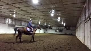 Cours d’équitation du 21 avril 2019