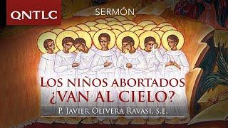 Los niños abortados: ¿van al Cielo? Sermón del P. Javier Olivera Ravasi, SE