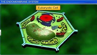 Cell and their History with 3d Animation | Biotechnology Notes