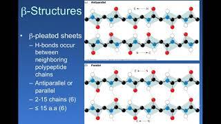 Beta sheets