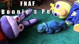 FNAF plush Episode 53 -  Bonnie's Pet