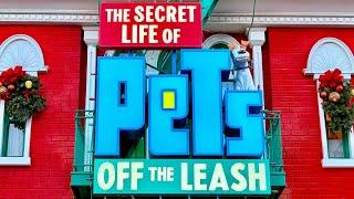 The Secret Life of Pets : Off the Leash | Universal Studios Hollywood #universalstudios #pets #ride