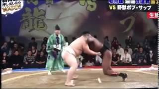 Asashoryu vs. Bob Sapp in a sumo match 31.12.2017