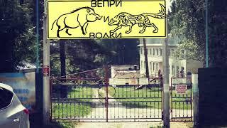 Буктрейлер по мистическому роману "Самая тёмная ночь" Татьяны Корсаковой