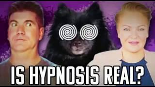 Hypnosis exposed..The truth about Hypnodog...