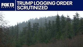 Trump order opens WA national forests for logging | FOX 13 Seattle