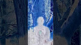 Toltec Monk - Shadows Are The Doors Of Not-Doing
