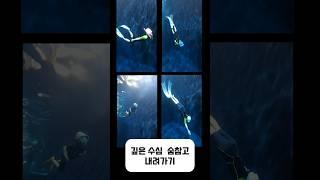겨울방학프리다이빙 #어린이스포츠 #원데이클래스