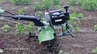 FW | Power Weeder | FWMT420DE (Operational 1)