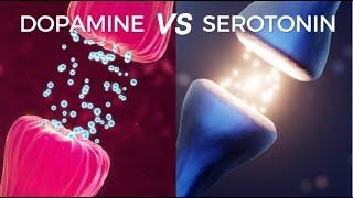 Serotonin Vs Dopamine – Everything Under 10 minutes