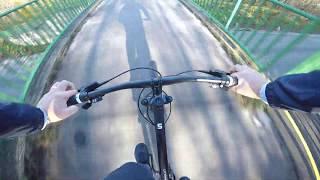 FREERIDE MTB TRAILS in Vienna. This trail is so Crazy