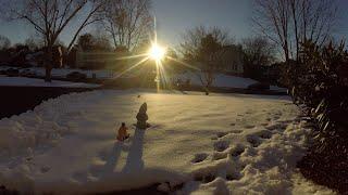 Two Snowfalls and Melts in 4K Time-lapse