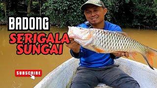 PASANG TAJUR KETIKA AIR SUNGAI BESAR #vlog145 #unlimitedhobby #unlimitedfishing #amazinghobby