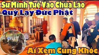 Trưa Nay Sư Minh Tuệ Vào Chùa Lào Quỳ Lạy Đức Phật Ai Củng Khóc