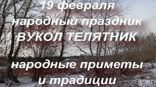 19 февраля народный праздник ВУКОЛ ТЕЛЯТНИК . народные приметы и традиции