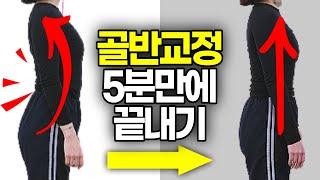 [골반교정] 허리가 이렇게 꺾여있다면? 방치했다간 큰일납니다! (골반전방경사 실제 골반교정영상)