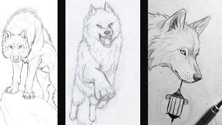 Creative Wolf Drawing Ideas - Easy Drawing of Wolf for Beginners