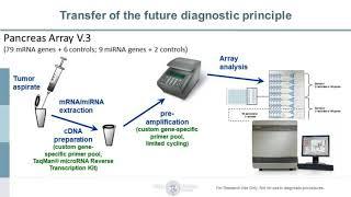 The essential role of miRNA and mRNA on cancer progression and biomarker discovery