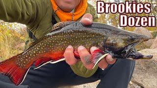 NONSTOP ACTION - Fly Fishing Wyoming for LARGE Brookie's