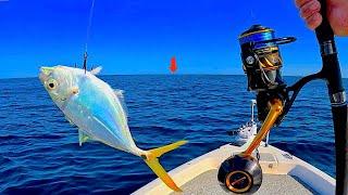 FISHING a LIVE! CRAZY FISH in 80' DEEP When I Caught THIS! *EPIC Results*