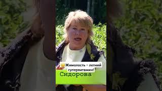 В чем польза жимолости? #дача #дачныесоветы #жимолость #витамины #выращивание #ягоды