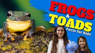 Learn All About Frogs and Toads | Facts for Kids