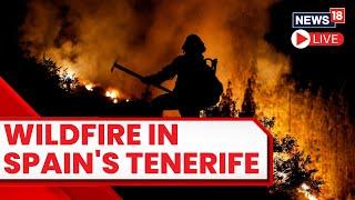 Spain Wildfires 2023 LIVE | Thousands Evacuated At Spanish Island Tenerife | Tenerife Wildfire LIVE