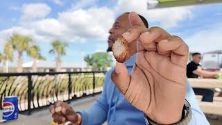 I ate alligator meat for the first time | tour of the everglades in Florida