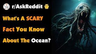 What's A Scary Fact You Know About The Ocean?