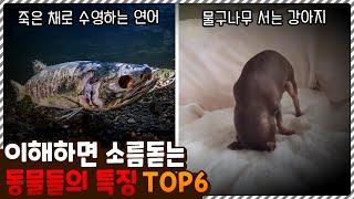 다 이유가 있었구나..? 이해하면 소름 돋는 동물들의 특징 TOP6