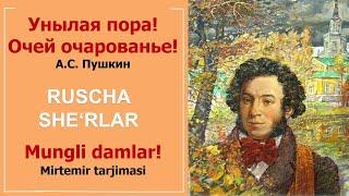 KUZ. Mungli damlar!  Pushkin sherlari rus va o`zbek tilida. UZRUSTILI