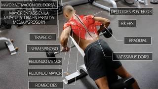  The BEST science-based back routine  (Activate every muscle!) 