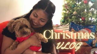 Christmas Vlog! Sri Lankan in Melbourne Edition