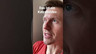 Das ist ein Katzenvideo #comedy #standup #humor #kabarett #sketch #kunst #lowbudgethighcomedy