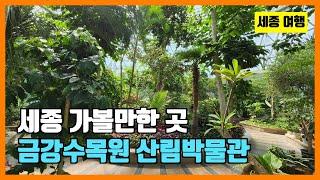 세종 금강수목원 산림박물관 여행 (South Korea Travel : Sejong Geumgang Arboretum Forest Museum)