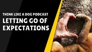 Think Like a Dog Podcast - Letting Go of Expectations