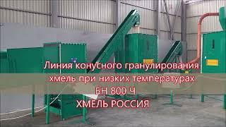 Hop cone pelleting line at low temperatures, production of hop pellets, BN 800 hops Russia