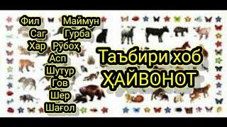 Таъбири Хайвонот дар хоб /Гӯсфанд дар хоб, Саг дар хоб, Харгӯш дар хоб, Буз дар хоб,Гов дар хоб ва ғ