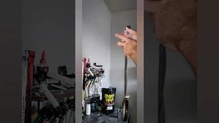 12 Second Ironmind Captains of Crush #4 Silver Bullet Hand Gripper Hold - Build Brutal Grip Strength